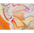 Group 79.png